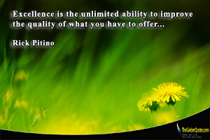 Excellence is the unlimited ability to improve the quality of what you ...