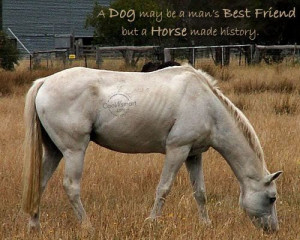 Horse Quote: A dog may be a man’s best... Animal- (4)