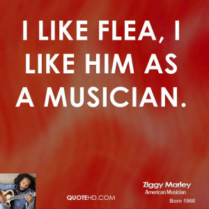 like flea i like him as a musician ziggy marley musician