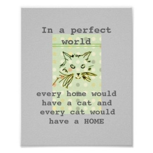 In A Perfect World, Every Home Would Have A Cat And Every Cat Would ...
