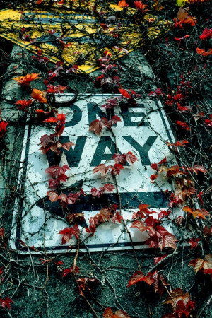 Found on anthropologie.tumblr.com