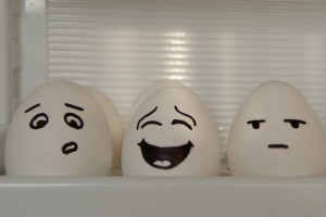 Quotes about eggs | Funny egg jokes