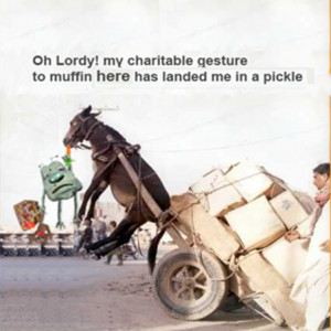 Donkey Disaster-Funny Picture.This picture is about Donkey Disaster ...