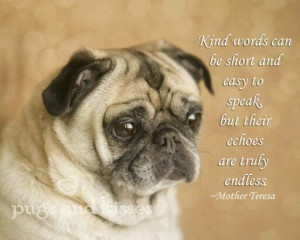 pug & Mother Theresa quote