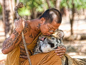 Buddhist monk and tiger.