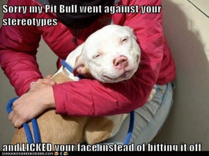 pit_bull_not-stereotype