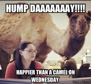 Guess what day it is? » Hump day