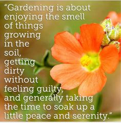 Gardens Signs, Gardens Quotes, Gardens Projects, Gardens News, Gardens ...