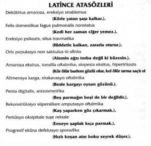 latin sayings proverbs