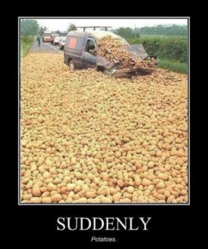 car-humor-funny-joke-road-street-drive-driver-potatoes-accident-crash