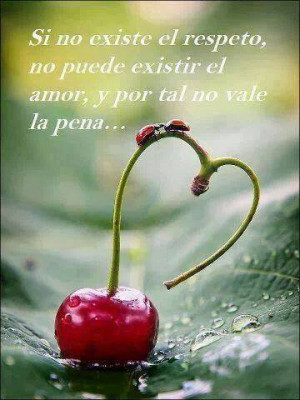 Si no existe el respeto, no puede existir el amor, y por tal no vale ...