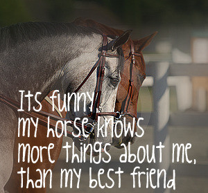 Breyer Horse Quotes