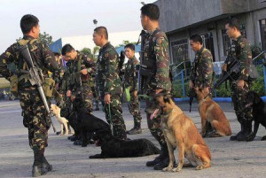 Filipino soldiers with K9 sniffing dogs wait to board a military plane ...
