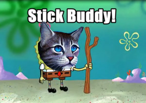 so you know how jayfeather has his magic stick he protects?JAYFEATHER ...