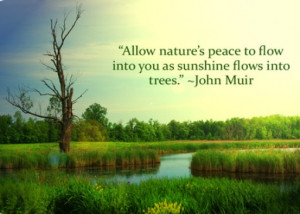 Allow nature's peace to flow into you as sunshine flows into trees.