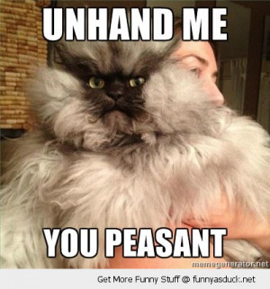 ... peasant funny pics pictures pic picture image photo images photos lol