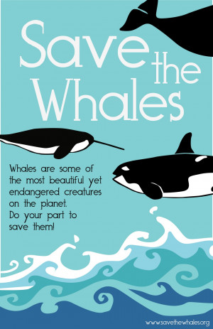 download now Its about Save The Whales Tags Picture