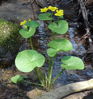 Funny Quotes Contact Dmca