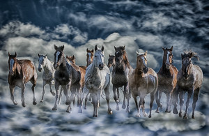 Running in Heaven referring to a quote that all horses go to heaven.