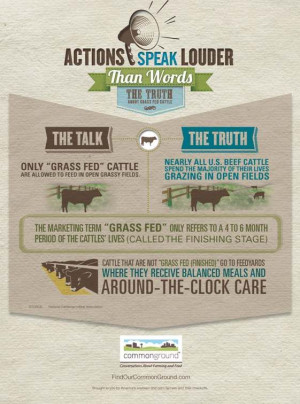 ... . Find the truth out about grass fed cattle with this infographic