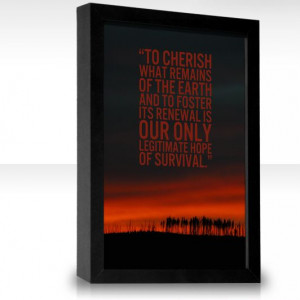 wendell berry quotes | To cherish what remains of the Earth and to ...