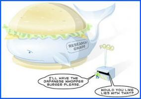 Cute Whale Quotes