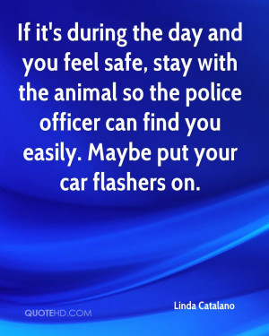 If It’s During The Day And You Feel Safe, Stay With The Animal So ...