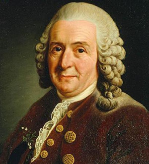 Carolus Linnaeus Quotes Hlsningar din jvel