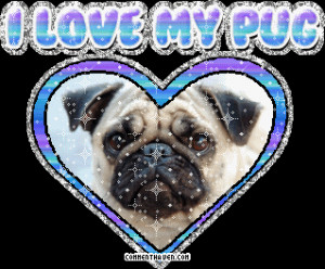 Love Dog Breeds Glitter Pictures, Images, Graphics, Comments and ...