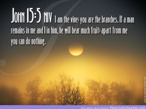 ... Will Bear Much Fruit Apart From Me You Can Do Nothing. ~ Bible Quotes