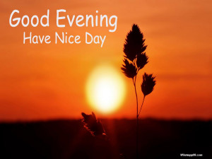 positive-quotes-for-the-day-hd-good-evening-good-evening-have-a-nice ...