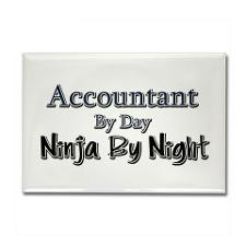 Accountant by Day Ninja by Night Rectangle Magnet for