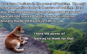 ... Funny Pictures // Tags: Funny dog - Of course I believe in the power