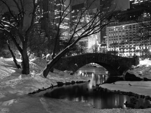 central park snow
