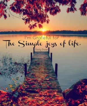 the-simple-joys-of-life-grateful-quotes.jpg