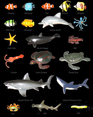 Sea Animal Pictures Animal Pictures for Kids with Captions to Color ...