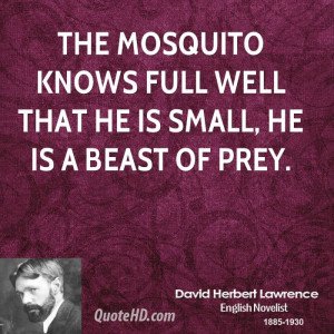 The mosquito knows full well that he is small, he is a beast of prey.