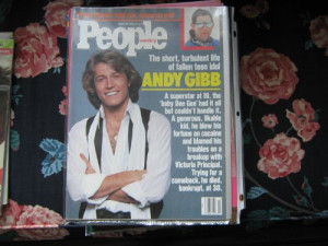 Andy Gibb's Quotes