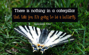 Free Motivational Wallpaper Downloads, Inspirational Nature Wallpapers