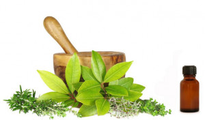 Herbal Medicines Banned