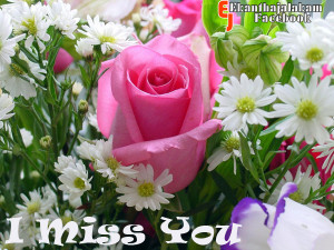 Miss You in Cute Rose Flower New Images 2013