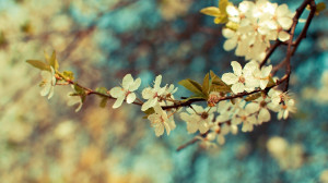 Background Vintage Flowers - HD Wallpapers
