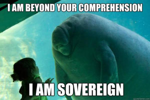 Professor Breaks Down Sovereignty and Explains its Significance