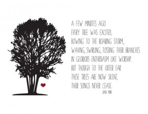 Inspiring John Muir Tree Print to Brighten Up your Walls