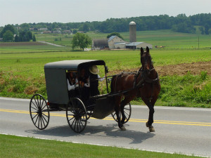Description Lancaster County Amish 03.jpg