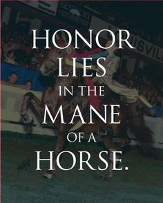 American Saddlebred. More