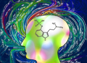 Expansion of Consciousness-Psilocybin’s Gateway to the Mind & Well ...