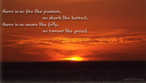 There is no fire like passion, no shark like hatred, there is no snare ...