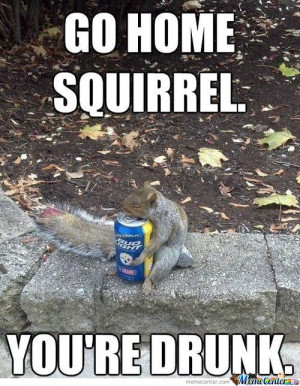 drunk-squirrel-is-drunk_o_904990.jpg