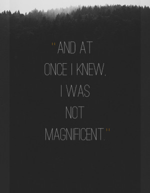 And at once i knew i was not magnificent.